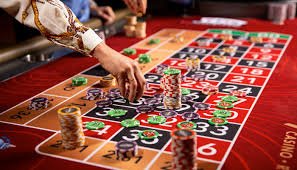 pk 222 Starlight Princess – aap ka slot room pk 222 mein